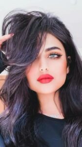 تعارف وسهرات